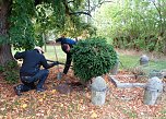 Grabstellensanierung des Familiengrabes Mackrodt in Etzleben (Foto: Peter Ke&szlig;ler)