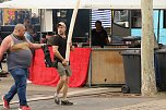 Erste Impressionen vom Bahnhofsfest (Foto: agl)