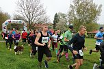 Impressionen vom 9. Harztorlauf (Foto: agl)