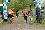 Impressionen vom 9. Harztorlauf (Foto: agl)