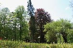 6. Heinrich-Siesmayer Ged&auml;chtnislauf im Park Hohenrode (Foto: agl)