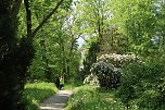 6. Heinrich-Siesmayer Ged&auml;chtnislauf im Park Hohenrode (Foto: agl)