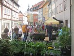 Gr&uuml;nes Innenstadtfest in Bad Langensalza (Foto: Markus Fromm)