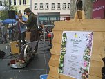 Gr&uuml;nes Innenstadtfest in Bad Langensalza (Foto: Markus Fromm)