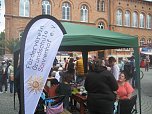 Gr&uuml;nes Innenstadtfest in Bad Langensalza (Foto: Markus Fromm)