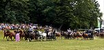 Ponyshow in W&uuml;lfingerode (Foto: PRFZV W&uuml;lfingerod)