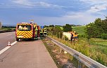 Verunfallter Lkw an der A38 (Foto: S. Dietzel)