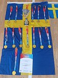 Nordh&auml;user Nachwuchs siegt bei der Handball-Mini-WM (Foto: NSV)