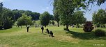 Zweiter Consulting Cup im Golfpark Neustadt (Foto: Golfpark Neustadt)