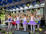 Radevas Eleven auf dem Rolandsfest (Foto: Dimitar Radev)