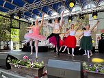 Radevas Eleven auf dem Rolandsfest (Foto: Dimitar Radev)