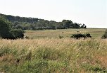 Die H&uuml;flerbaude bei Kelbra hat wieder ge&ouml;ffnet (Foto: Ulrich Reinboth)