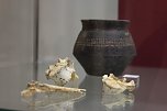 Ausstellungser&ouml;ffnung im Stadtmuseum (Foto: oas)