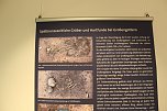 Ausstellungser&ouml;ffnung im Stadtmuseum (Foto: oas)