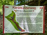 Der 400 Jahre alte "Gro&szlig;mutter"-Baum am Kohnstein gefallen (Foto: Steffen Iffland)