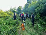 Schwerer Unfall im Wald zwischen Großfurra und Straußberg (Foto: S. Dietzel) Schwerer Unfall im Wald zwischen Großfurra und Straußberg (Foto: S. Dietzel)