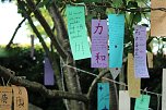 Sternenfest TANABATA im Japanischen Garten in Bad Langensalza (Foto: Eva Maria Wiegand)