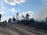 Brand eines Feldes bei Reinsdrof (Foto: S.Dietzel) Brand eines Feldes bei Reinsdrof (Foto: S.Dietzel)