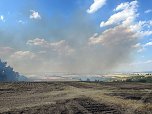 Brand eines Feldes bei Reinsdrof (Foto: S.Dietzel) Brand eines Feldes bei Reinsdrof (Foto: S.Dietzel)