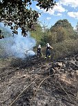 Brand eines Feldes bei Reinsdrof (Foto: S.Dietzel) Brand eines Feldes bei Reinsdrof (Foto: S.Dietzel)
