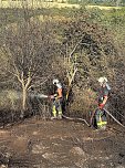 Brand eines Feldes bei Reinsdrof (Foto: S.Dietzel) Brand eines Feldes bei Reinsdrof (Foto: S.Dietzel)