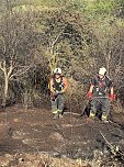 Brand eines Feldes bei Reinsdrof (Foto: S.Dietzel) Brand eines Feldes bei Reinsdrof (Foto: S.Dietzel)