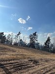 Brand eines Feldes bei Reinsdrof (Foto: S.Dietzel) Brand eines Feldes bei Reinsdrof (Foto: S.Dietzel)