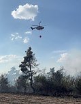 Brand eines Feldes bei Reinsdrof (Foto: S.Dietzel) Brand eines Feldes bei Reinsdrof (Foto: S.Dietzel)