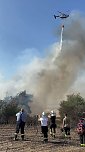 Brand eines Feldes bei Reinsdrof (Foto: S.Dietzel) Brand eines Feldes bei Reinsdrof (Foto: S.Dietzel)