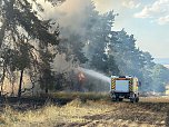 Brand eines Feldes bei Reinsdrof (Foto: S.Dietzel) Brand eines Feldes bei Reinsdrof (Foto: S.Dietzel)