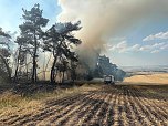 Brand eines Feldes bei Reinsdrof (Foto: S.Dietzel) Brand eines Feldes bei Reinsdrof (Foto: S.Dietzel)