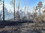 Brand eines Feldes bei Reinsdrof (Foto: S.Dietzel) Brand eines Feldes bei Reinsdrof (Foto: S.Dietzel)