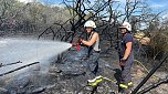 Feuer in der Goldenen Aue (Foto: Die am Einsatz beteiligten Feuerwehren)