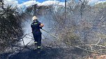 Feuer in der Goldenen Aue (Foto: Die am Einsatz beteiligten Feuerwehren)