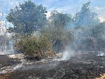 Feuer in der Goldenen Aue (Foto: Die am Einsatz beteiligten Feuerwehren)