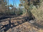 Feuer in der Goldenen Aue (Foto: Die am Einsatz beteiligten Feuerwehren)