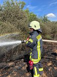 Feuer in der Goldenen Aue (Foto: Die am Einsatz beteiligten Feuerwehren)