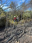 Feuer in der Goldenen Aue (Foto: Die am Einsatz beteiligten Feuerwehren)