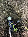 Feuer in der Goldenen Aue (Foto: Die am Einsatz beteiligten Feuerwehren)
