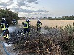 Flächenbrand am Abend (Foto: Feuerwehr Bad Langensalza) Flächenbrand am Abend (Foto: Feuerwehr Bad Langensalza)