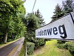 Drei B&auml;ume m&uuml;ssen zur Verkehrssicherung weichen (Foto: Stadt Leinefelde-Worbis)