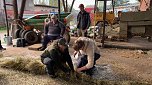 Kirmes wird vorbereitet (Foto: privat)