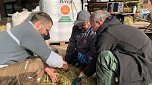 Kirmes wird vorbereitet (Foto: privat)