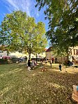 Lichertest in Urbach (Foto: K.Seifert)