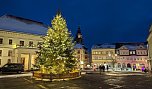 Rechtzeitig zum Gl&uuml;hweinzauber wurde der Weihnachtsbaum auf dem Sondersh&auml;user Marktplatz aufgestellt und geschm&uuml;ckt (Foto: Janine Skara)