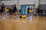 Handball-Wochenende: Ausgezeichnete Bilanz (Foto: NSV)