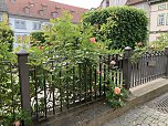 Florale Impressionen aus Bad Langensalza  (Foto: Eva Maria Wiegand)