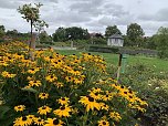Florale Impressionen aus Bad Langensalza  (Foto: Eva Maria Wiegand)