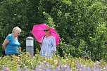Florale Impressionen aus Bad Langensalza  (Foto: Eva Maria Wiegand)