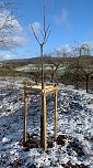 Naturprojekt wird beendet (Foto: S.Staubitz)